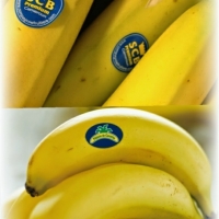  - etiquetas para productos lácteos,