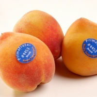  - proveedor etiquetas guadalajara,etiquetas para productos congelados